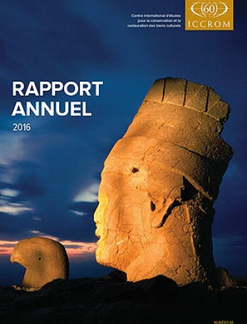 Rapport Annuel 2016