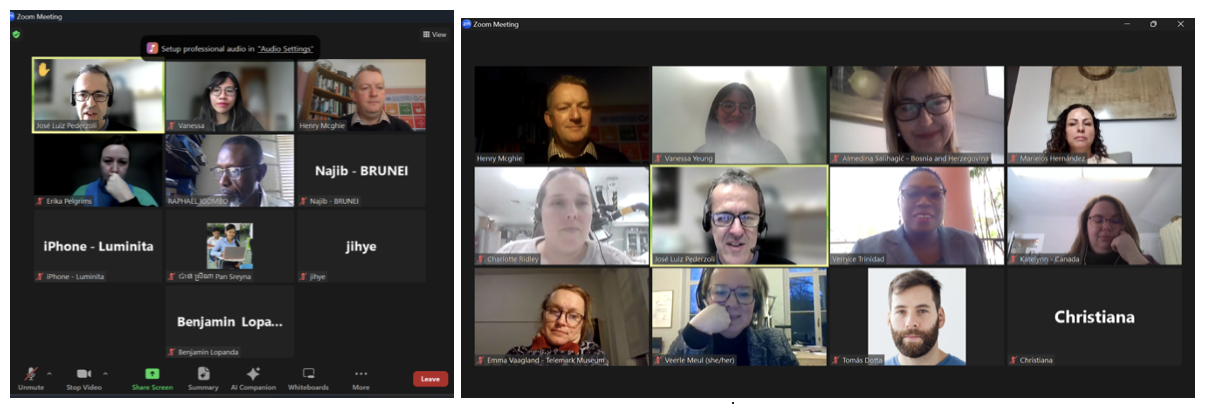 The final concluding meetings took place online on 16 January 2024 