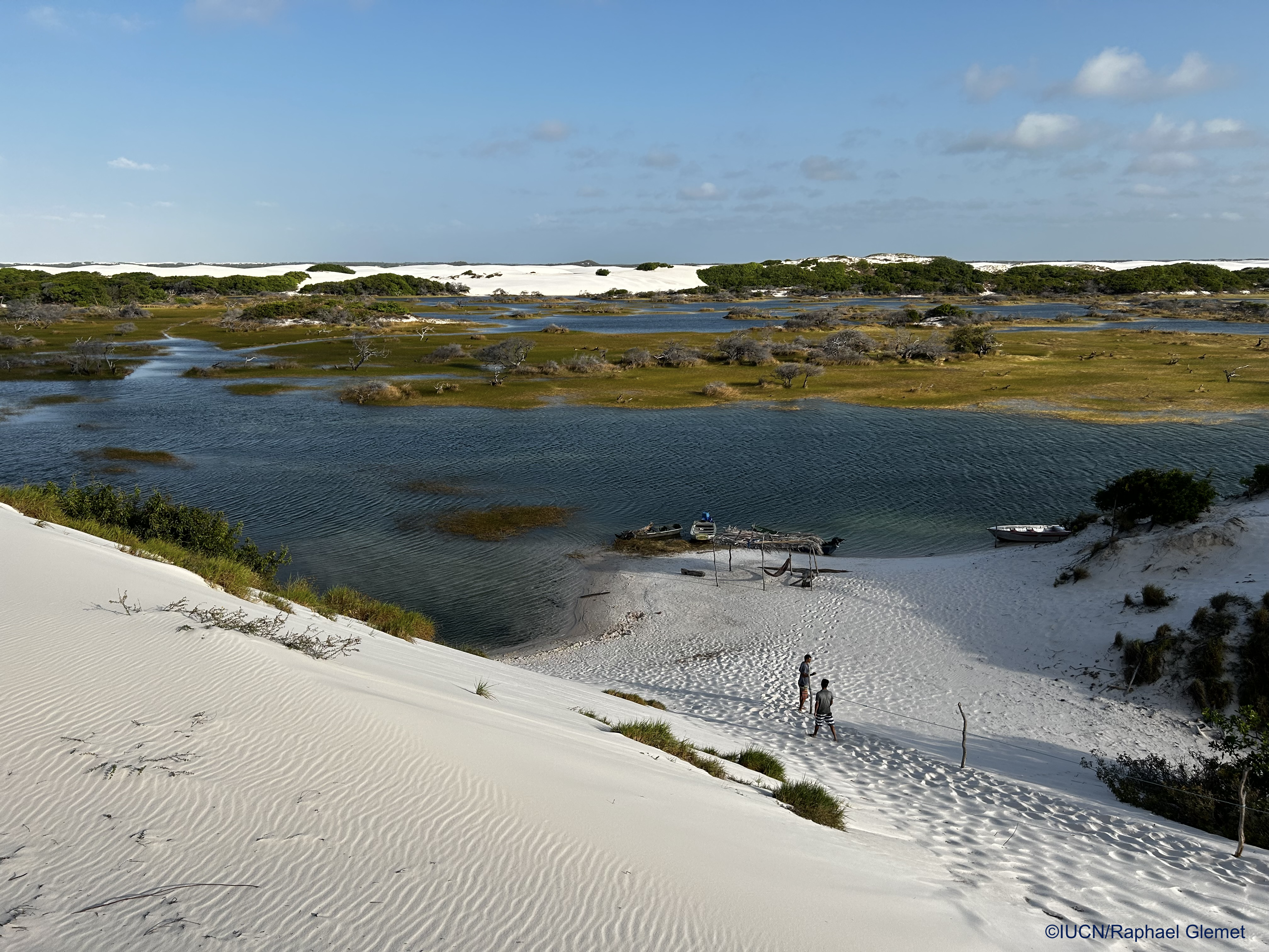 ©IUCN/Raphael Glemet