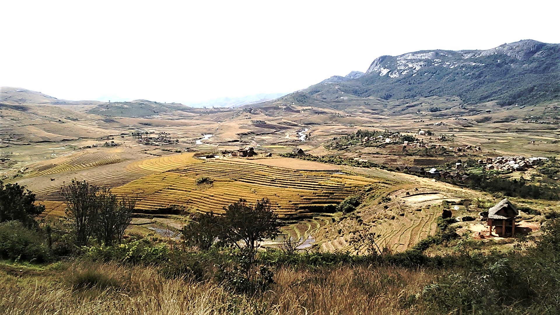 Madagascar – Betsileo and Tanala Rice Terraces