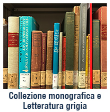 Collezione monografica e Letteratura grigia