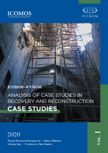 Analysis of Case Studies in Recovery and Reconstruction