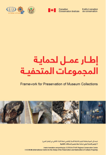 CCI’s “Framework for Preserving Heritage Collections” - A Poster Publication