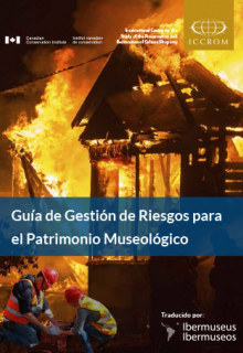 Guia de gestion de riesgos