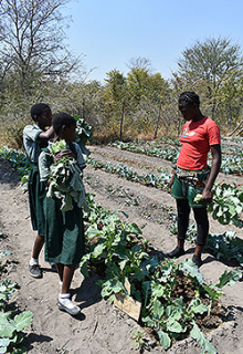 Victoria Falls bridging People,Nature & Culture