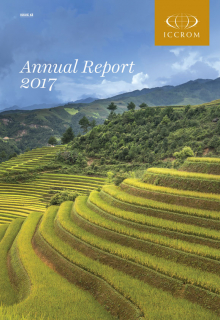 annual report 2017