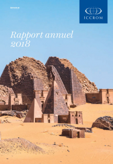 Rapport annuel 2018