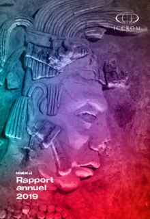 Rapport annuel 2019