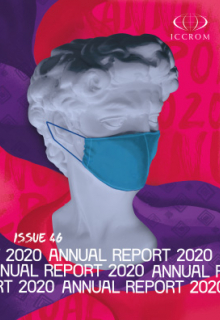 Annual Report 2020