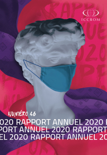 Rapport Annuel 2020