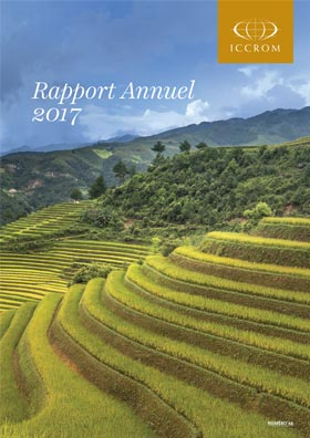 Annual Report 2017