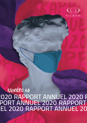 Rapport Annuel 2020