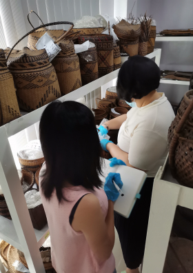 Our Collections Matter