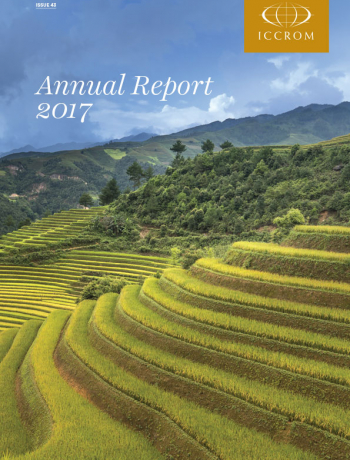 annual report 2017