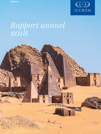 Rapport annuel 2018