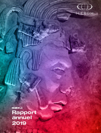 Rapport annuel 2019