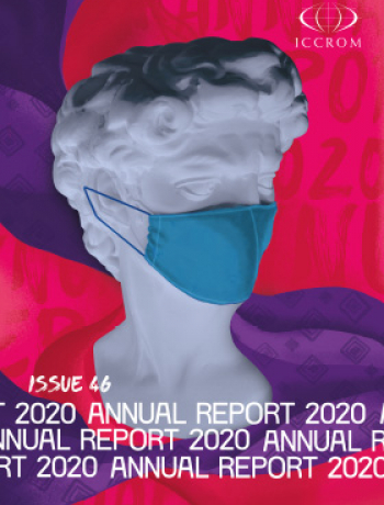 Annual Report 2020