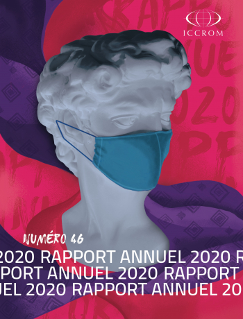 Rapport Annuel 2020