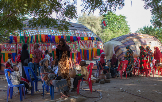 Western Sudan Community Project 