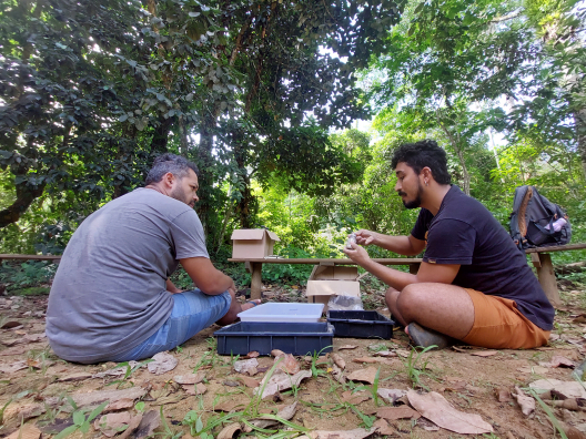 Quilombola community members engaged in carrying out project activities.jpg
