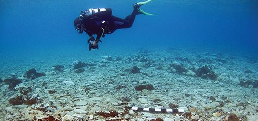 'A vast underwater museum': Greece plans to open shipwrecks and other submerged heritage sites for visitors to explore