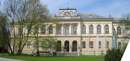 Discuss participation with digital heritage at an accompanying event of the Slovenian Presidency