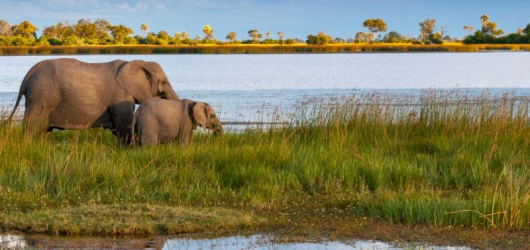 “Compact” involves local people in Okavango Basin conservation