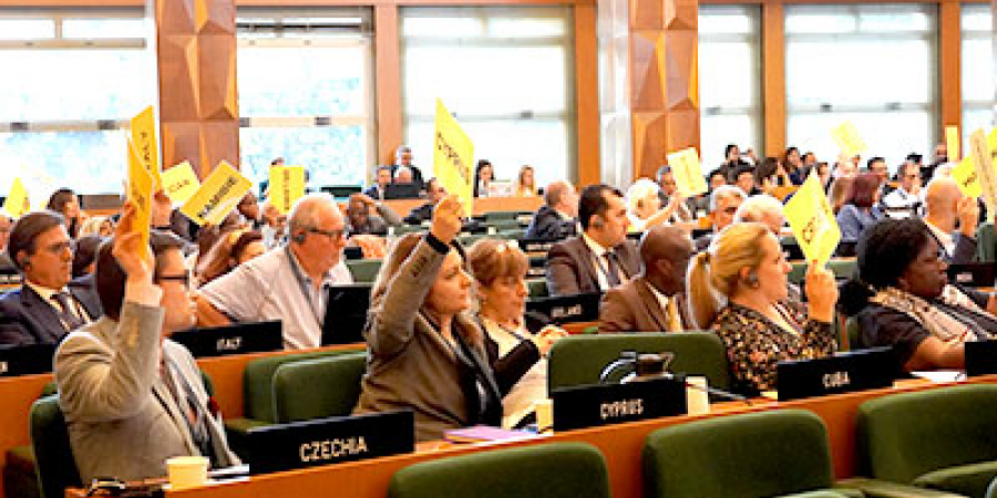 ICCROM’s Programme of Activities and Budget (PAB) for the 2020-2021 biennium has been approved by the 31st General Assembly. For the next two years ICCROM will be operating in adherence to the Strategic Directions set out by ICCROM Council in 2017. There have been conscious importance placed on effective planning and setting priorities to ensure the highest efficiency and impact of its work