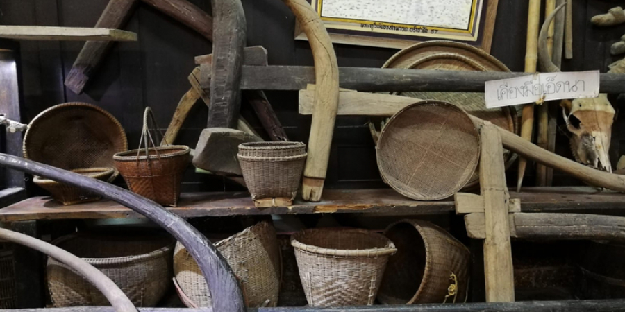 International Online Course on the Reorganization of Collections Storage in Museums of Southeast Asia