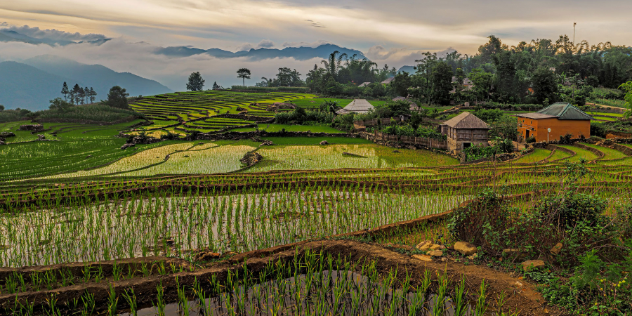 Heritage Management for Building Resilience of Living Traditional Settlements