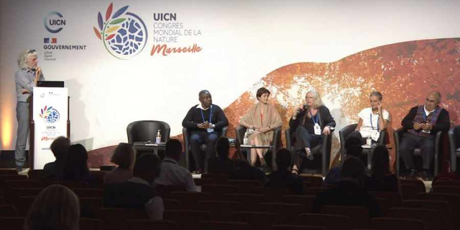 A panel discussion at the IUCN congress