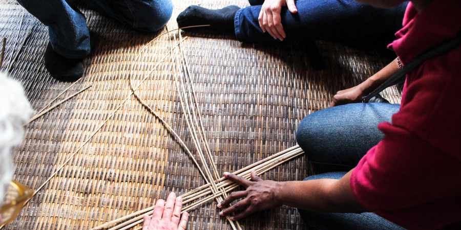Collections, Conservation, and Sustainable Development