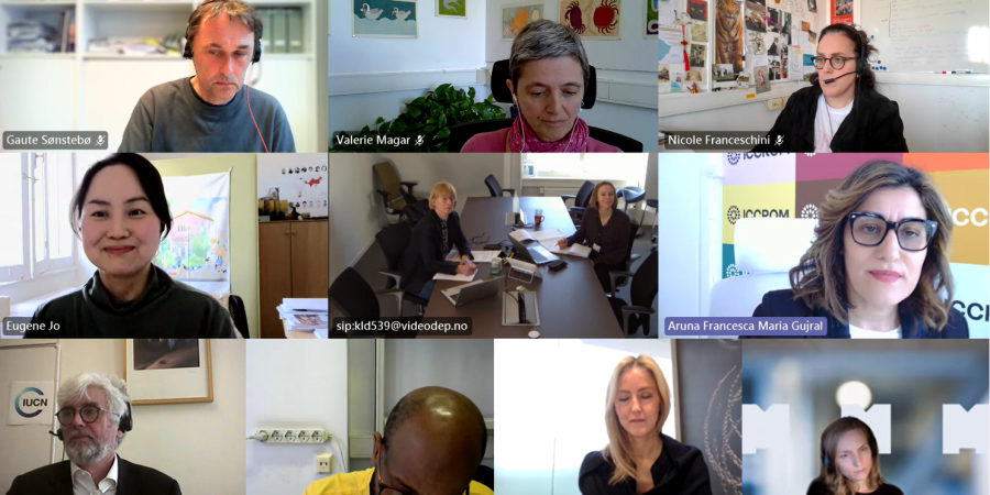 ICCROM-IUCN World Heritage Leadership Annual Donor Group Meeting