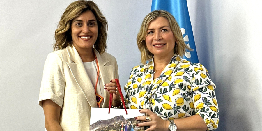 Venezuela and ICCROM Meet to Revitalize Heritage Cooperation in Latin America