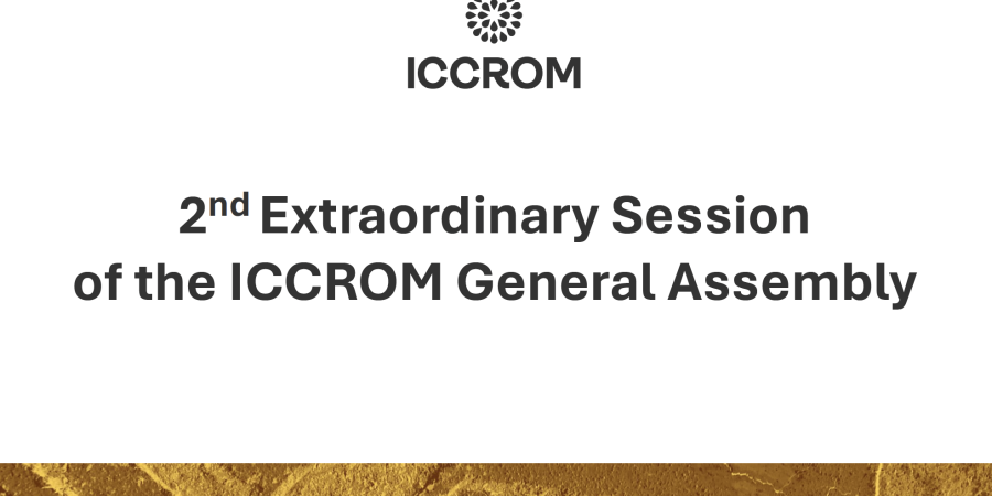 2nd Extraordinary Session of the ICCROM General Assembly