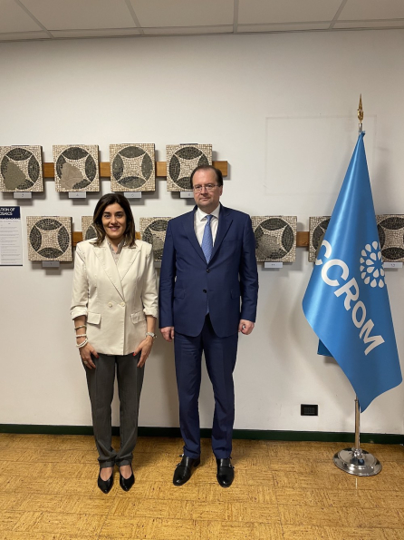 ICCROM DG meet Amb Russia