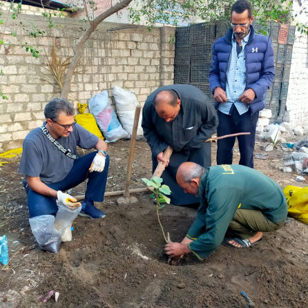 community elders planting sycamore trees