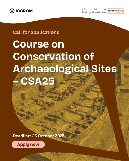 CSA25