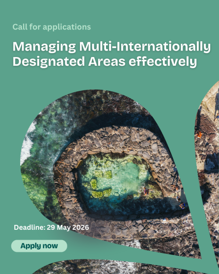 Managing Multi-Internationally Designated Areas effectively