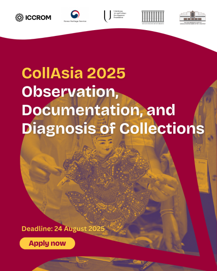 CollAsia 2025: Observation, Documentation, and Diagnosis of Collections 