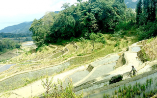 Course on Management and Monitoring of World Heritage Sites with special reference to China
