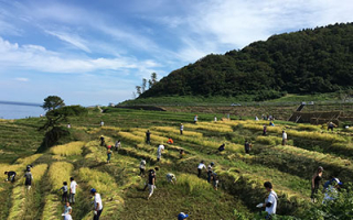  Japan Tsukuba