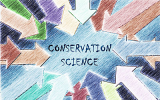 scientific research in heritage conservation scientific research in heritage conservation