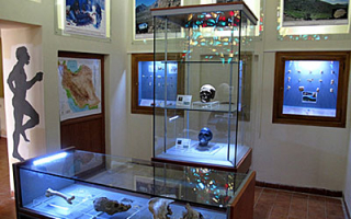 Survey: No cultural heritage collections? Survey: No cultural heritage collections?