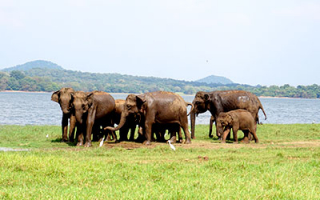 Asian Regional Course on Promoting People-Centred Approaches to Conservation of Nature and Culture (PNC19)