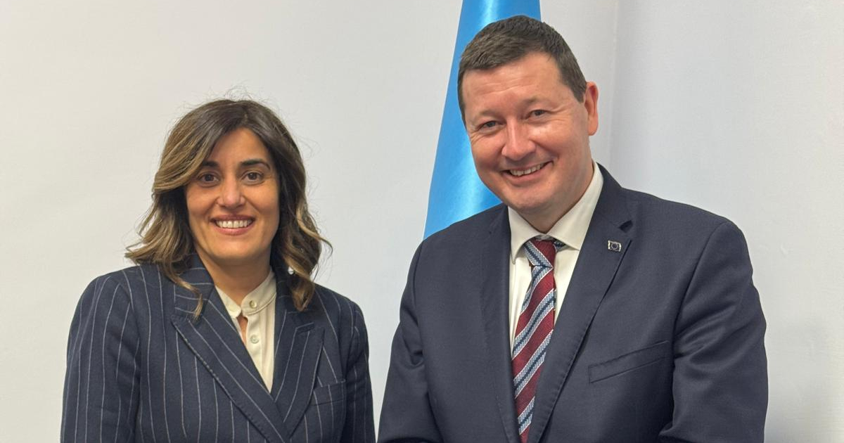 ICCROM Director-General welcomed H.E. Mr Martin Selmayr