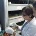 ICCROM to safeguard endangered sound and image records in Vietnam