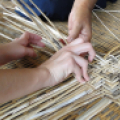 Call for Proposals: CollAsia Field Projects 2021–2022
