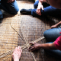 Collections, Conservation, and Sustainable Development