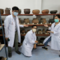 From Theory to Practice: Implementing the RE-ORG Methodology “the CollAsia Way”